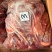 驴肉