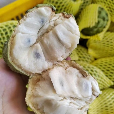 大目释迦果，甜度高，