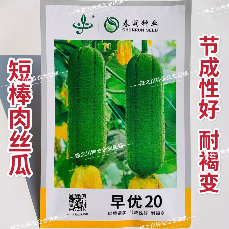 早优20丝瓜种子短棒高产早熟肉丝瓜种子阳台瓜籽种子味甜