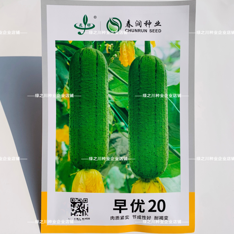早优20丝瓜种子短棒高产早熟肉丝瓜种子阳台瓜籽种子味甜
