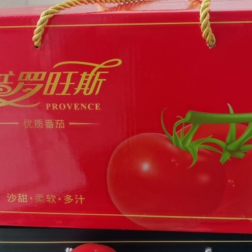 普罗旺斯大量上.货，一手货源，诚信可靠