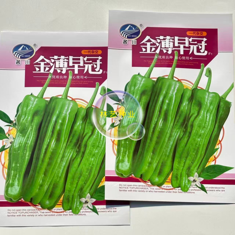 名川金薄早冠辣椒种子杂交种籽皮薄质口感好果早熟超大皱皮