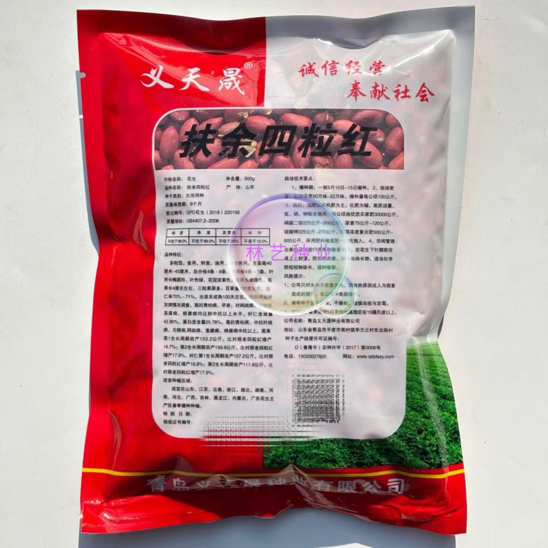 扶余四粒红花生种子油食两用大粒色泽红润出油率高花生种子