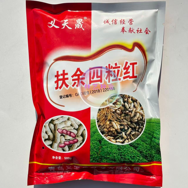 扶余四粒红花生种子油食两用大粒色泽红润出油率高花生种子
