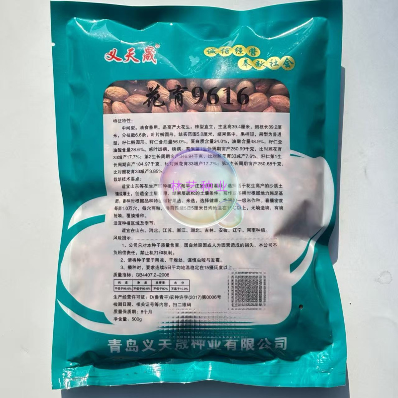 义天晟花育9616花生种子高产大花生新品薄壳矮秆高油抗旱