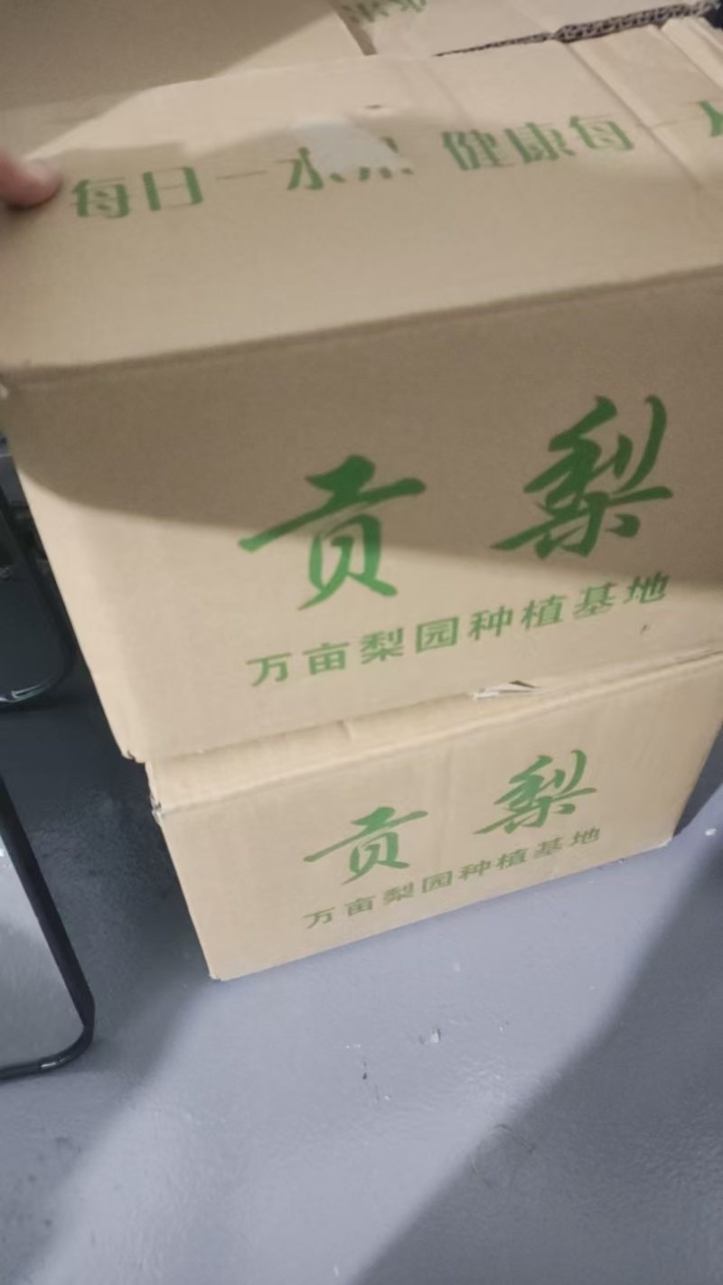 山西文水酥梨，自家种植，低价批发