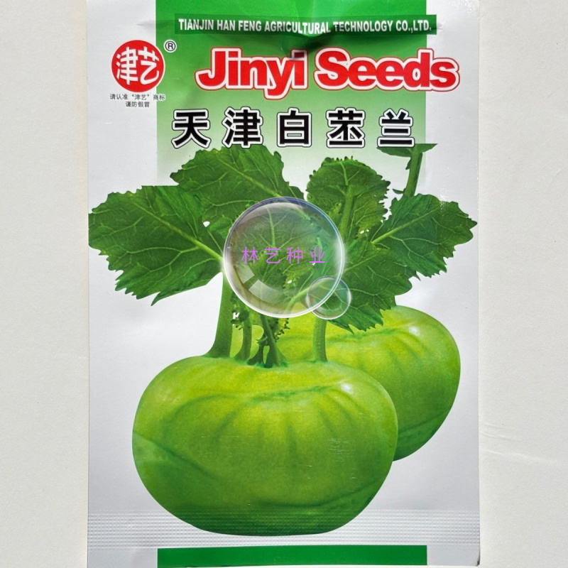天津白苤兰种子早熟扁圆型浅绿苤蓝种子肉质脆嫩无纤维春秋蔬