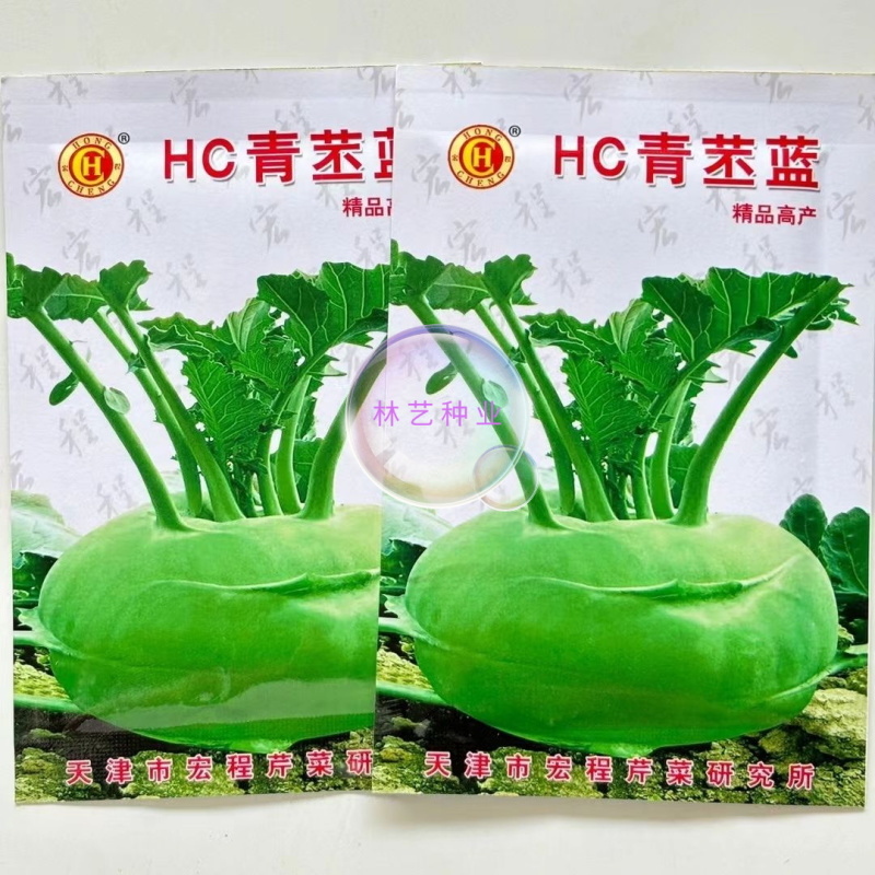 HC青苤蓝种子扁圆形质地脆嫩生长速度快整齐一致不裂果