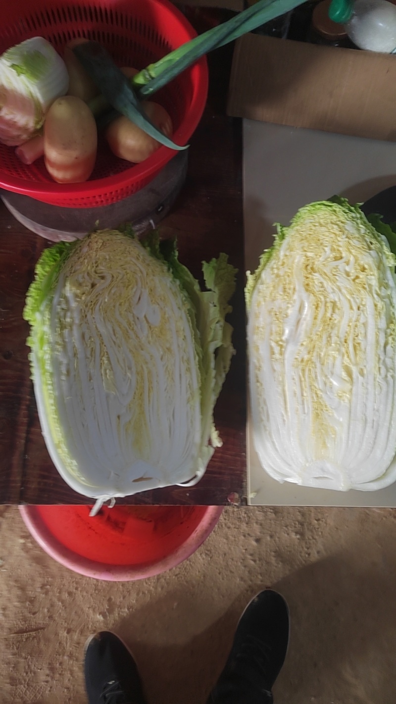 精品黄心大白菜