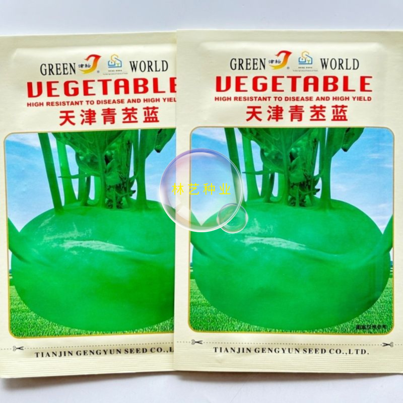 天津青苤兰种子苤蓝抗病中熟春秋栽培球茎甘蓝种子芥菜大头菜
