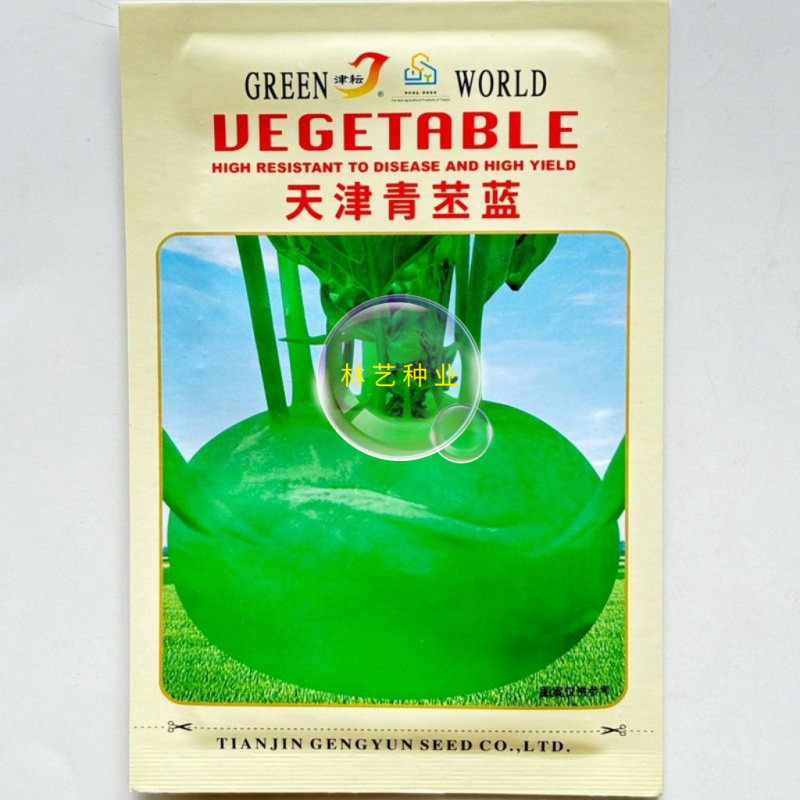 天津青苤兰种子苤蓝抗病中熟春秋栽培球茎甘蓝种子芥菜大头菜