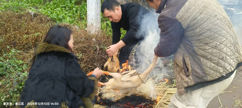 土特产