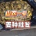 姜种批发《大黄姜/小黄姜种/山农一号》抗病毒高产/全国发