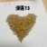 春小麦，种植正当时