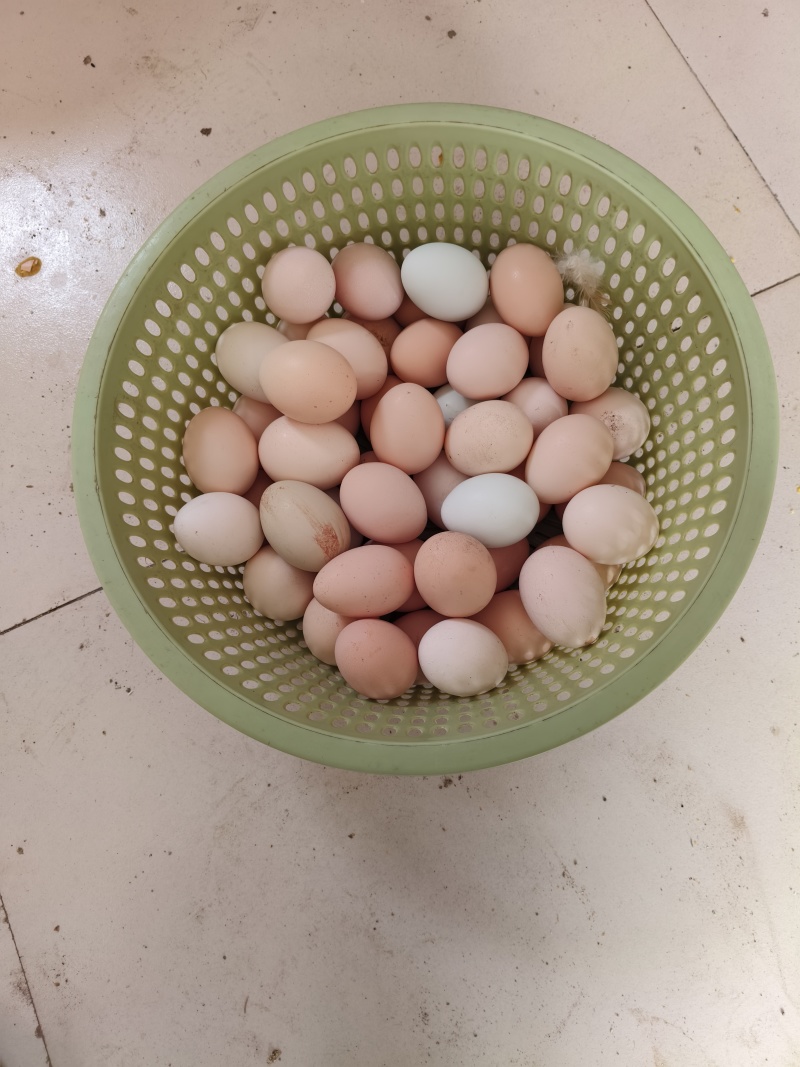 土鸡蛋
