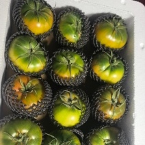 黑番茄