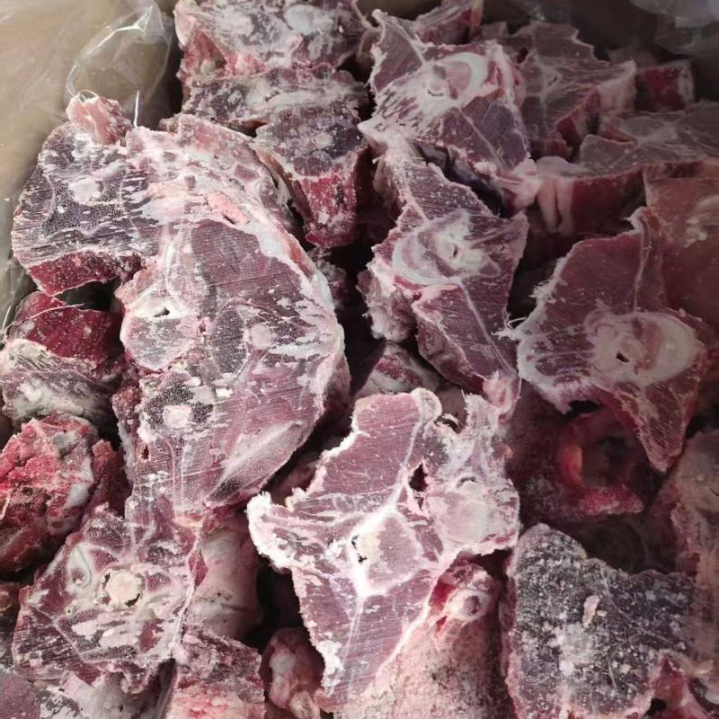 内蒙呼唤满肉羊蝎子