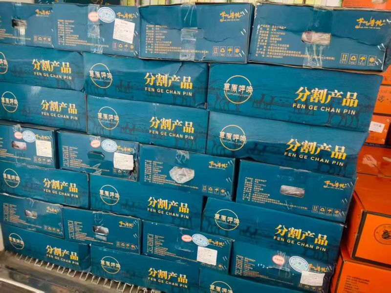 内蒙呼唤满肉羊蝎子