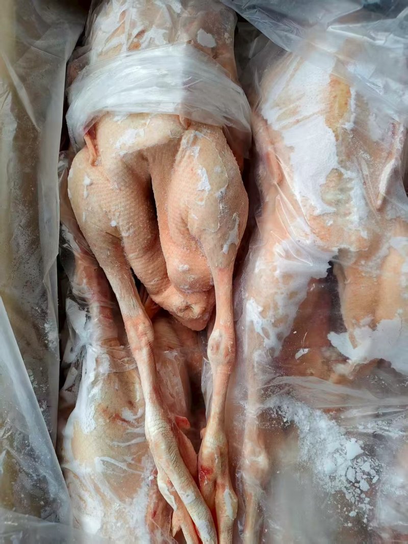 仔鹅肉现杀出售