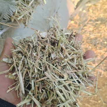 花生秧草牛羊草料