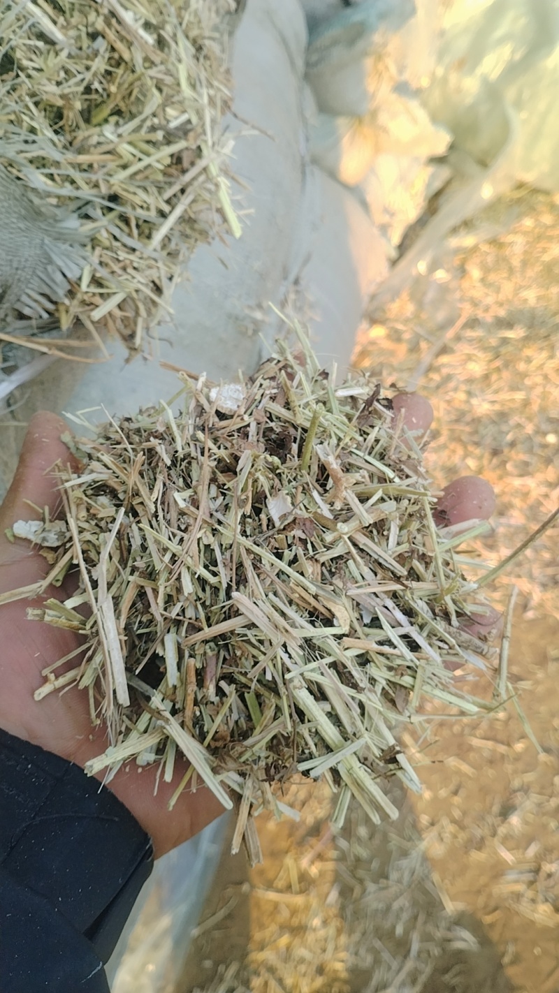 花生秧草牛羊草料