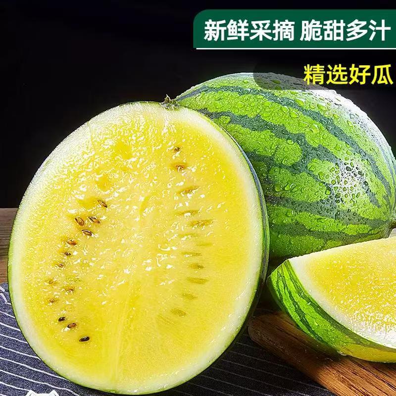 【精品】特小凤西瓜货源充足一手货源质量保证欢迎电联