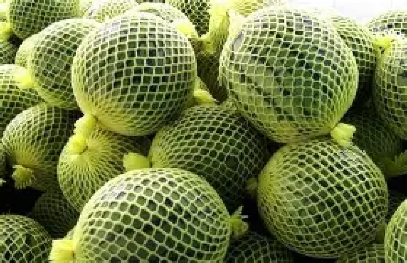 【精品】特小凤西瓜货源充足一手货源质量保证欢迎电联