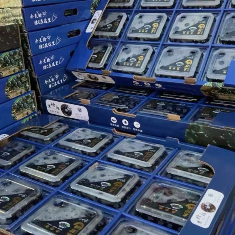 葡萄黑珍珠大量有货，可礼盒可成箱，欢迎老板随时咨询