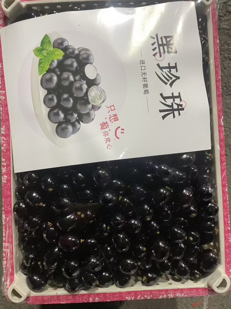 葡萄黑珍珠大量有货，可礼盒可成箱，欢迎老板随时咨询