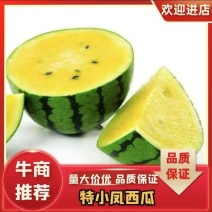 精品特小凤西瓜产地直发货源充足量大从优质量保证欢迎咨询