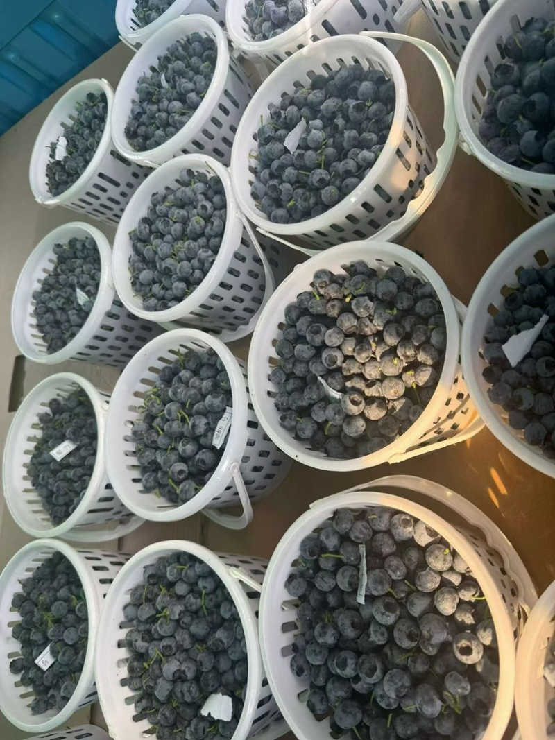 L11L25F6大量出售有单老板来谈.