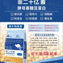菲二十亿菌～#大豆微生物菌肥#【大豆发酵】