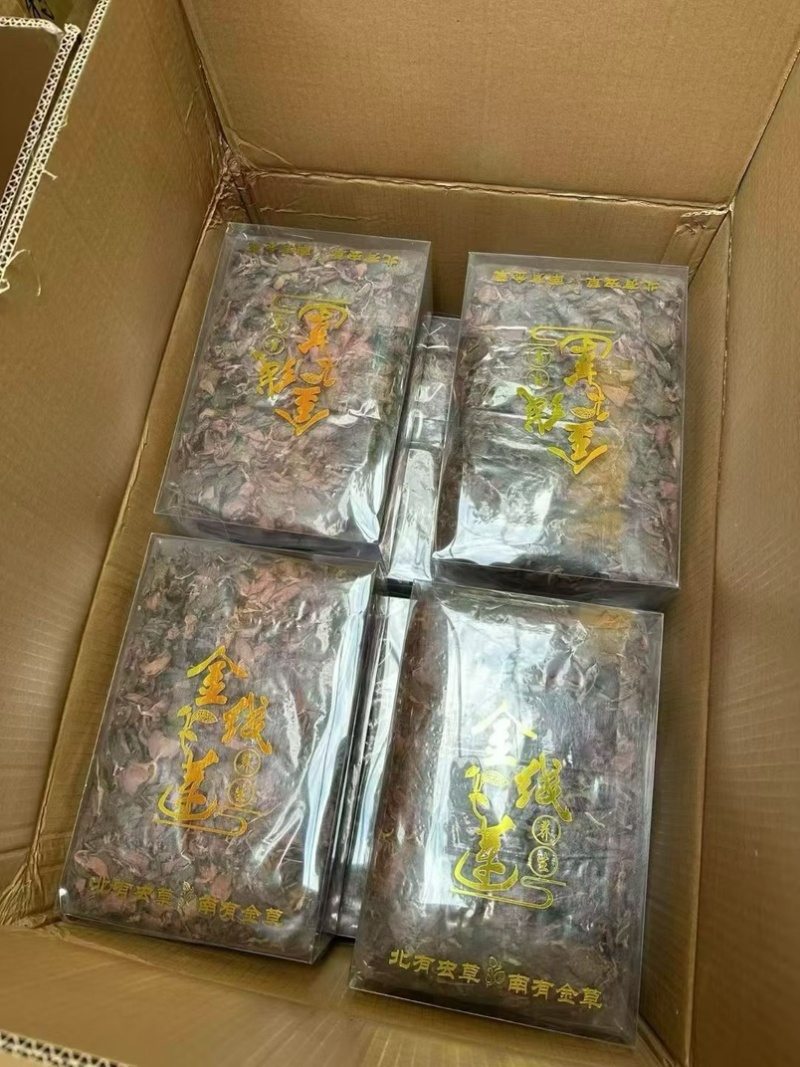 金线莲批发红霞金线莲整株干品全养生茶无碎一手货源批发