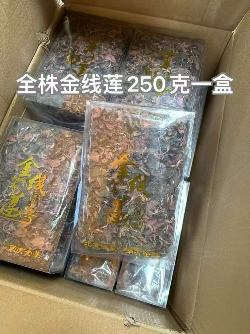 金线莲批发红霞金线莲整株干品全养生茶无碎一手货源批发