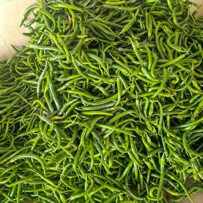 3号线椒