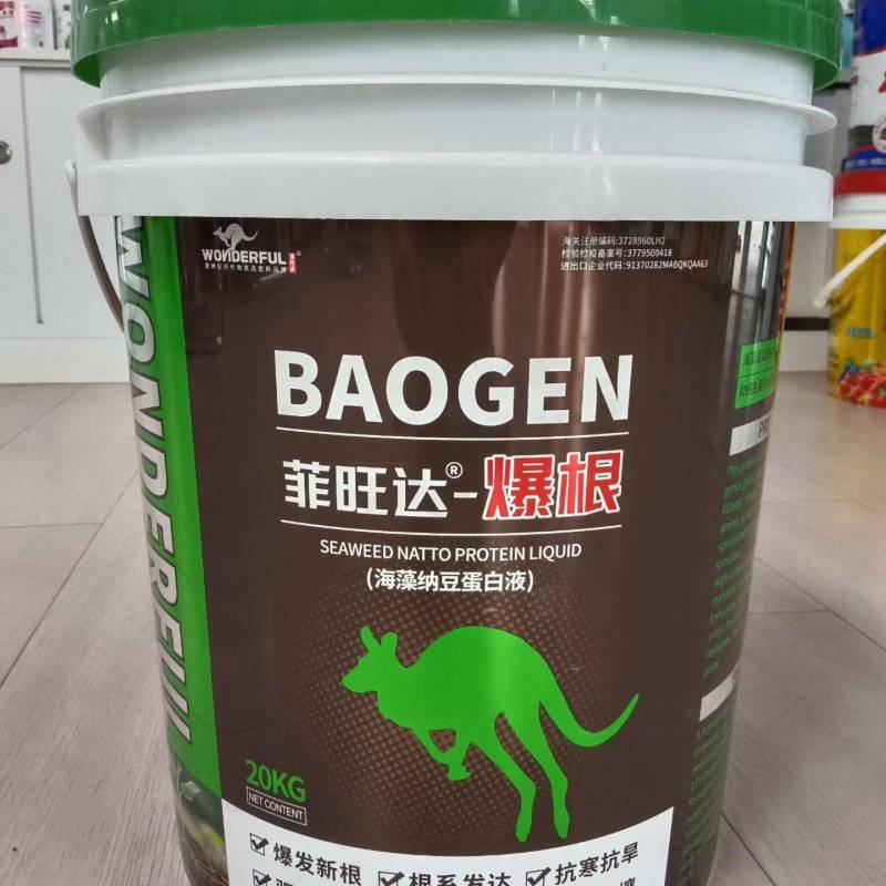 #【菲旺达—爆根】（海藻纳豆蛋白液）