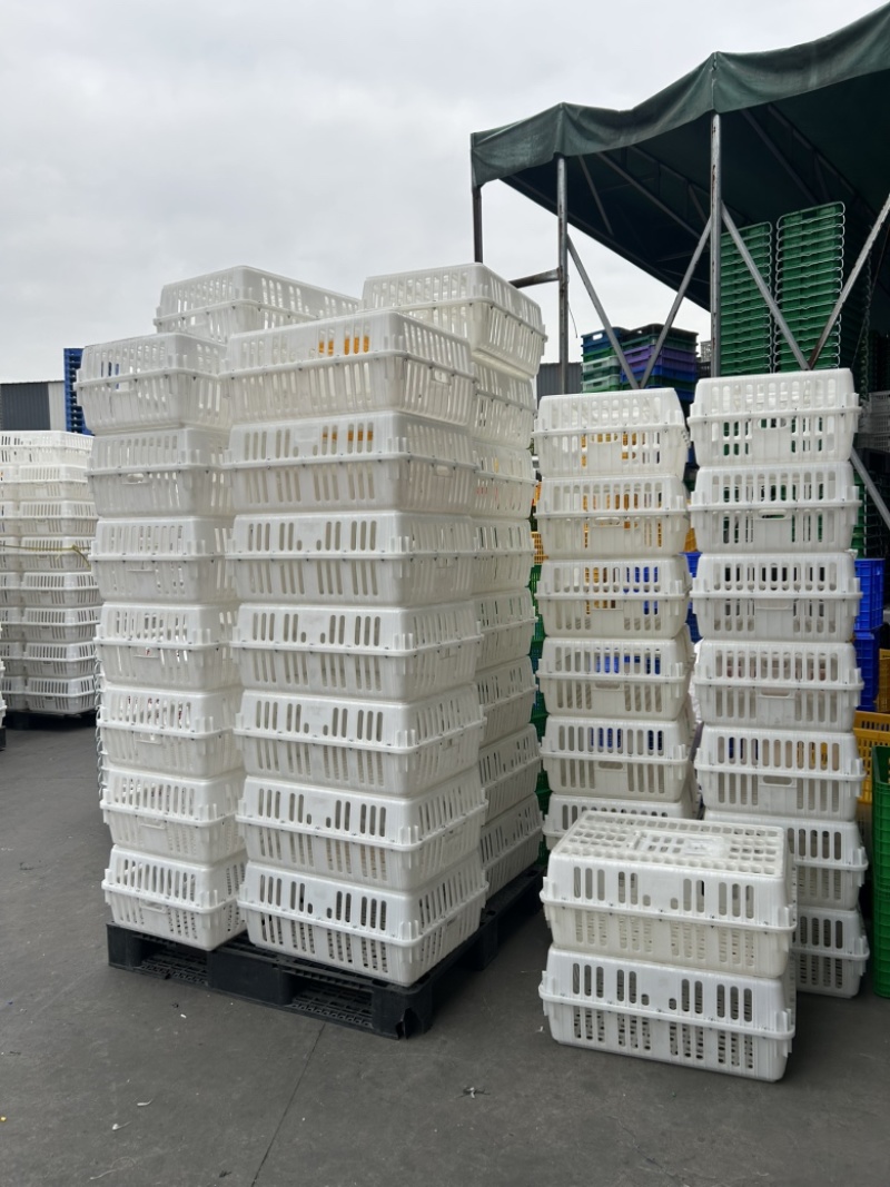 全新一首熟料打造优质鸡鸭鹅运输周转笼具长74宽54高27