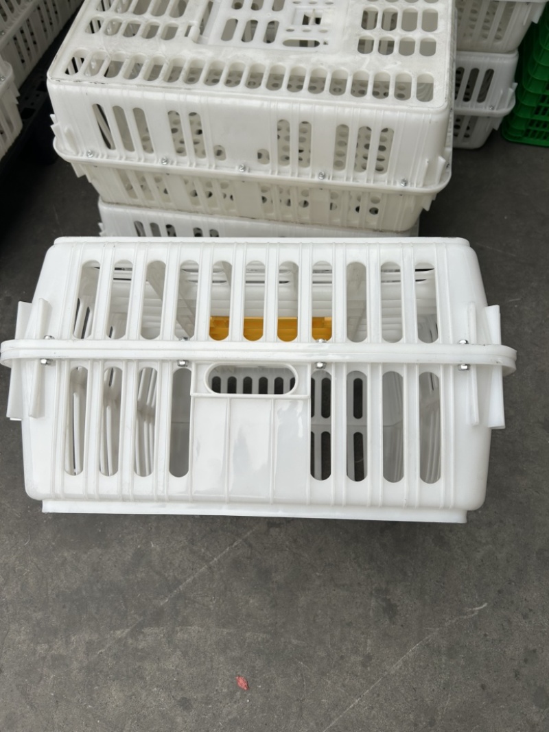 全新一首熟料打造优质鸡鸭鹅运输周转笼具长74宽54高27