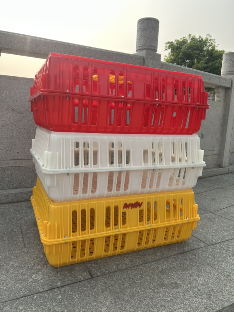 全新一首熟料打造优质鸡鸭鹅运输周转笼具长74宽54高27