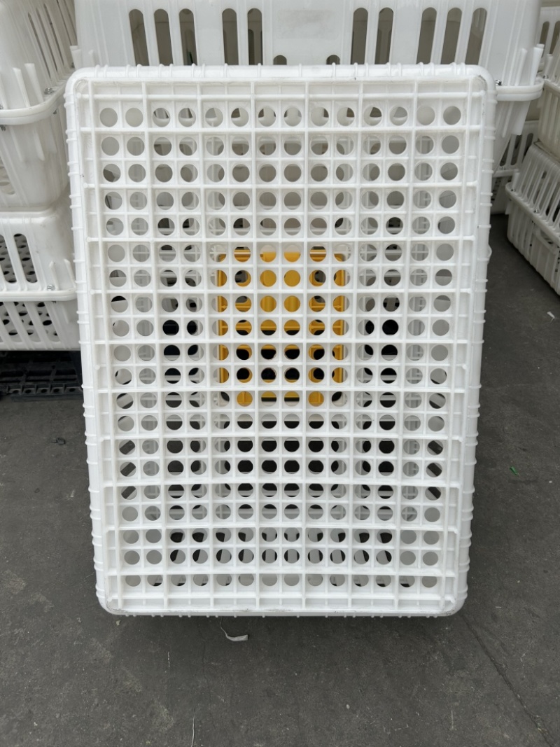 全新一首熟料打造优质鸡鸭鹅运输周转笼具长74宽54高27