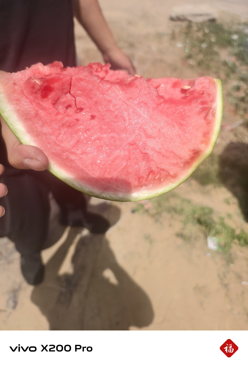 夏邑美都麒麟西瓜/无籽瓜/二茬有籽西瓜/产地直发质量三包