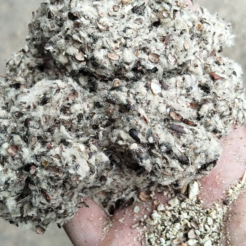 重庆大渡口綦江开州棉籽油渣油饼棉饼棉粕，毛棉籽棉壳棉渣