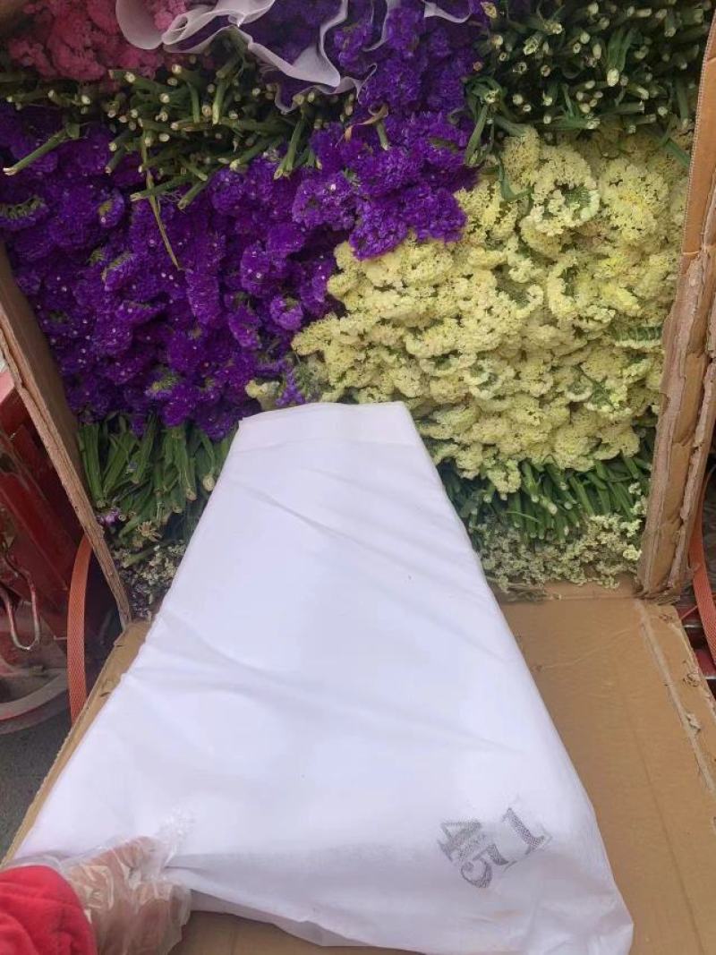 鲜花云南鲜花勿忘我干花6-9色颜色丰富花头不易掉价格美丽