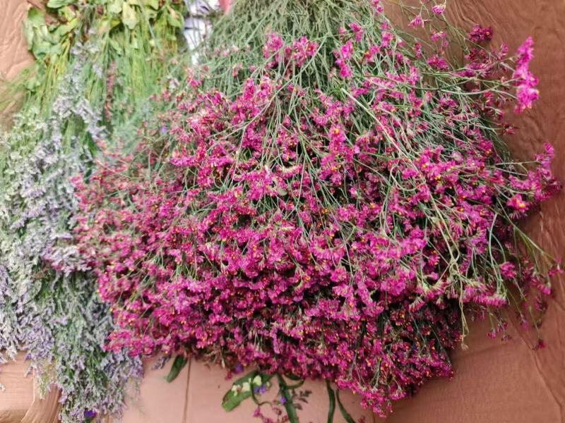 鲜花云南鲜花勿忘我干花6-9色颜色丰富花头不易掉价格美丽