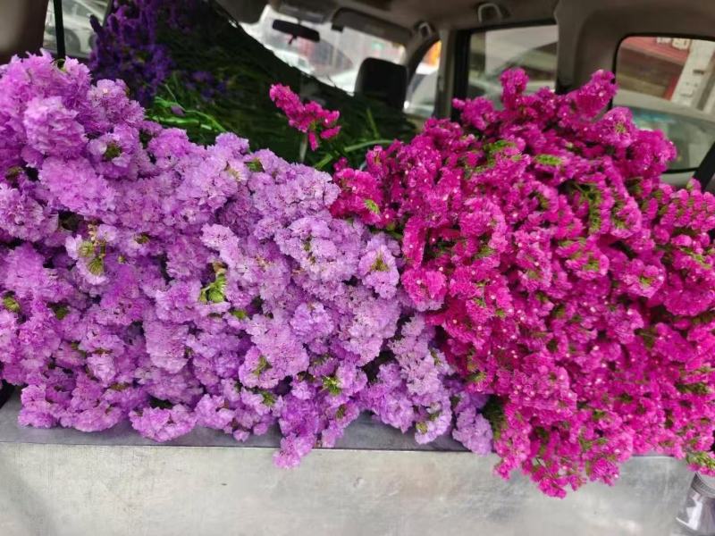 鲜花云南鲜花勿忘我干花6-9色颜色丰富花头不易掉价格美丽