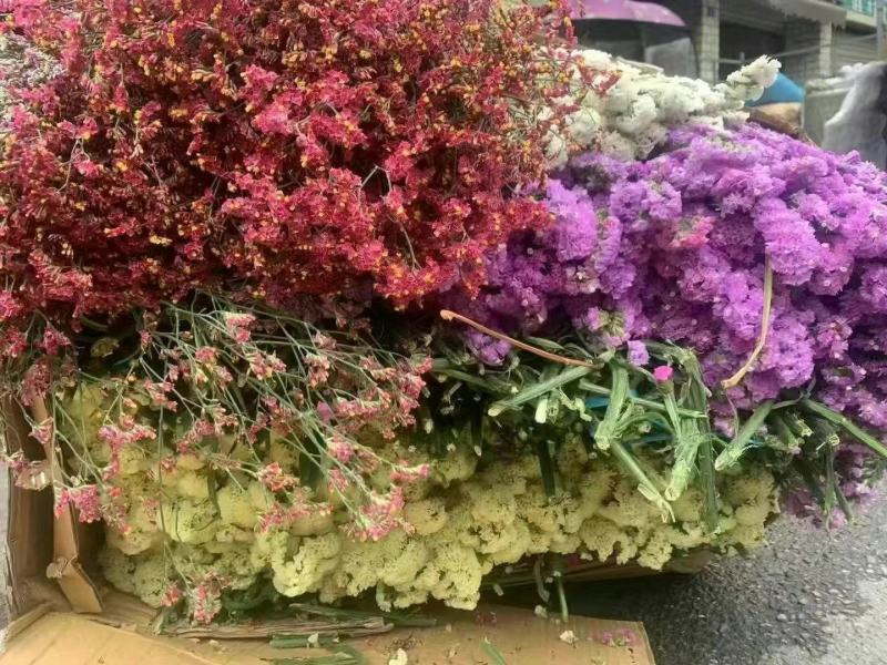 鲜花云南鲜花勿忘我干花6-9色颜色丰富花头不易掉价格美丽