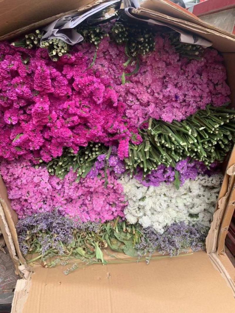 鲜花云南鲜花勿忘我干花6-9色颜色丰富花头不易掉价格美丽