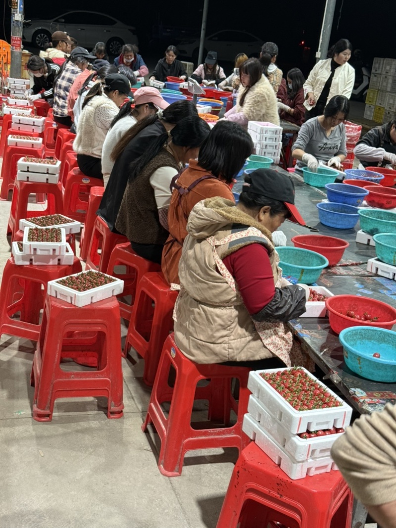 广东电白千禧