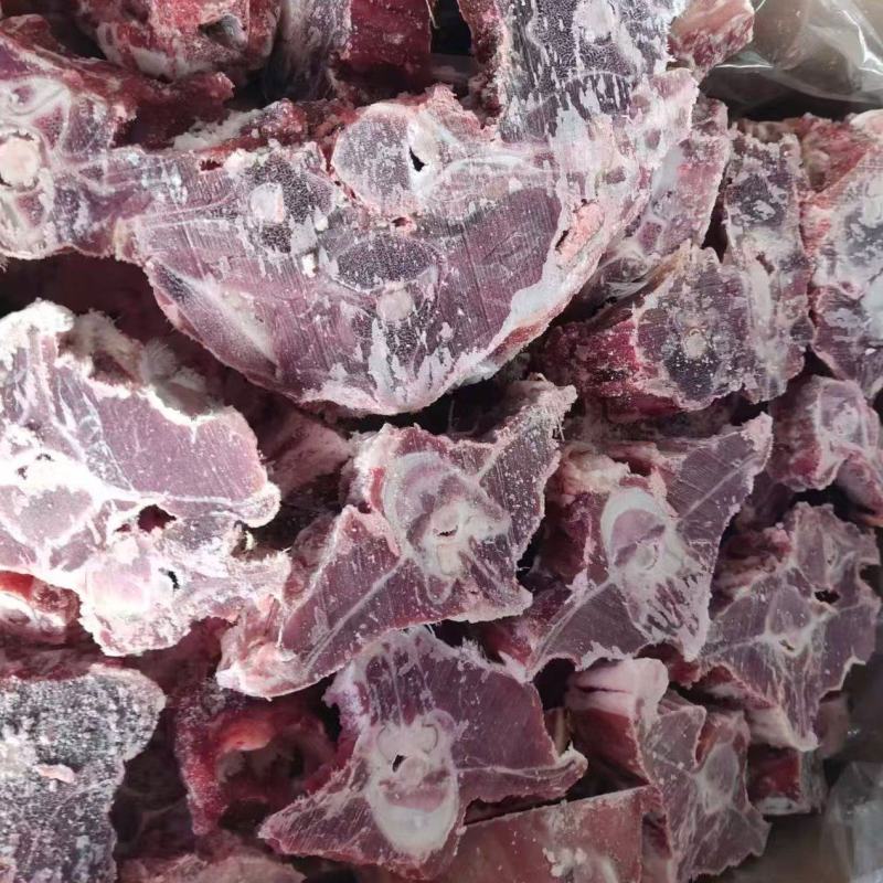 内蒙呼唤满肉羊蝎子