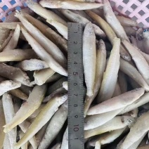 黄鱼